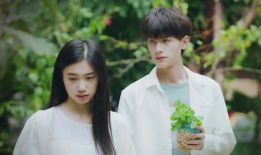 薄荷之夏电视剧,青春校园的甜蜜邂逅与成长之旅