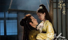 孤芳不自赏电视剧,宫廷权谋与爱情纠葛的华丽演绎