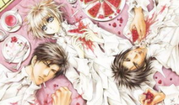 耽美动漫百日蔷薇,耽美世界中的青春与救赎