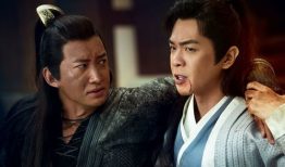 电视剧小说,宫廷权谋与爱恨情仇