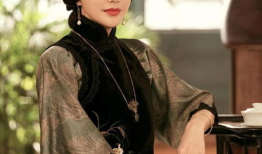 秦岚的电视剧,穿越时空的美丽传奇