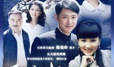 高鑫主演过的电视剧,电视剧作品盘点