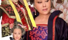 斯琴高娃电视剧,演绎人生百态，诠释时代变迁